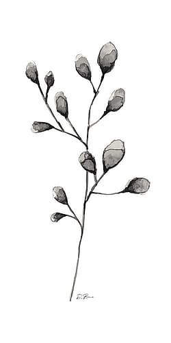 Botanical Stem 2 Art Print by Denise Brown