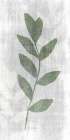 Stem in Nature 1 Botanical Print