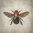 Brilliant Bee 2 Art Print