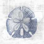 Sand Dollar 1 v2 Art Print