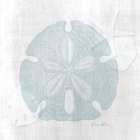 Sand Dollar 1 Art Print