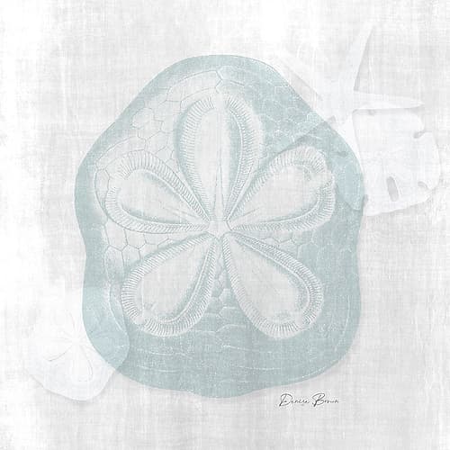 Sand Dollar 2 Coastal Print