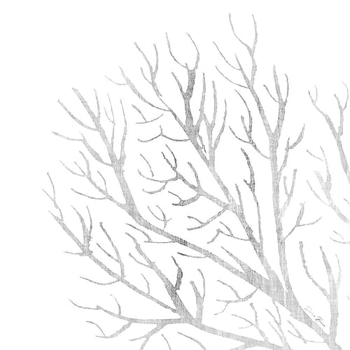 White Seaweed 1 Coastal Print
