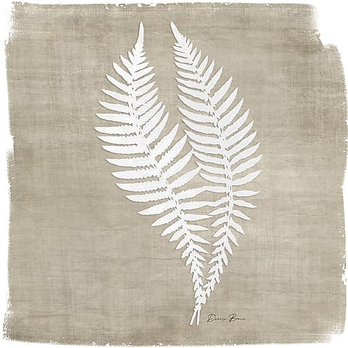 Natures Fern 2 Art Print