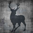 Deer Splash Black & White Print