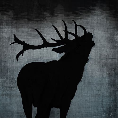 The Call Wildlife Print