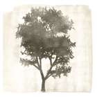 Tree 2 Art Print