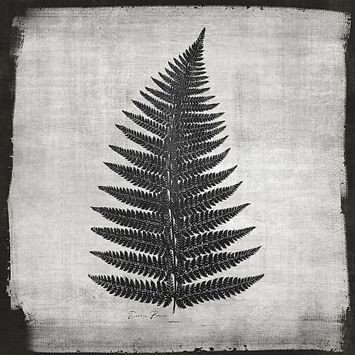 Noir Fern 1 Art Print by Victoria Brown