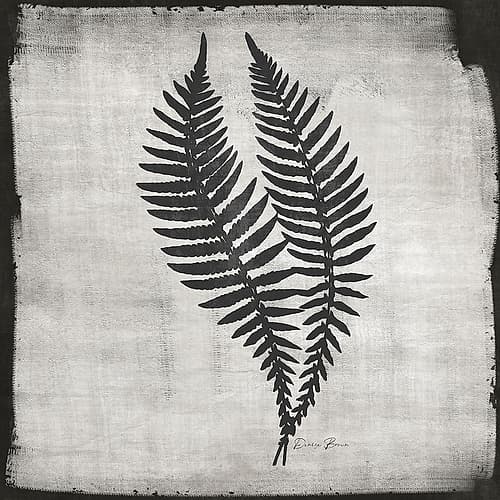 Noir Fern 2 Art Print by Victoria Brown