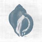 Coastal Waters 3 Blue Art Print