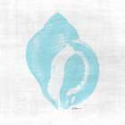 Coastal Waters 1 V2 Art Print