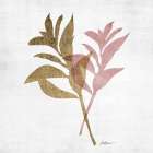 Blush Foliage 2 Botanical Print