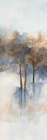 Misty Forest 3 Art Print