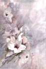 Watercolor Florals 2 Art Print