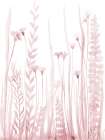 Soft Blooms 2 Botanical Print