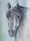 Gentle Stallion 1 Art Print
