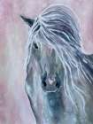 Majestic Stallion 1 Art Print