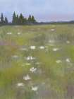 Field Of White Flowers 1 Art Print