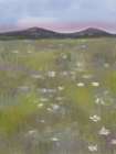 Field Of White Flowers 2 Art Print