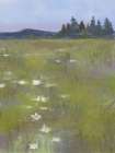 Field Of White Flowers 3 Art Print