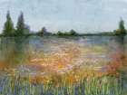 Field Of Flowers 1 Art Print