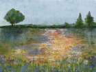 Field Of Flowers 2 Art Print
