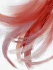 Movement In Red 1 Art Print
