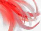 Swish In Red 2 Art Print