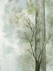 Lone Tree 2 Art Print