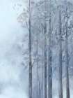 Foggy Morning 1 Art Print