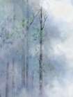 Foggy Morning 2 Art Print