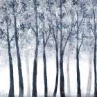 Wooded Grove Art Print
