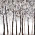 Wooded Grove Art Print