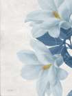 Magnolia Blues 2 Art Print