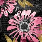Black Rose 1 Art Print