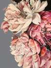 Peonies with Grey Art Print