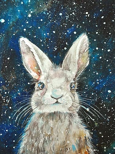 Rabbit Animaux reproduction