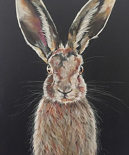 Hare Animaux reproduction