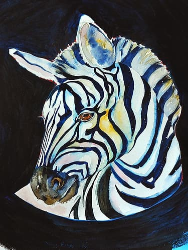 Zebra Art Print