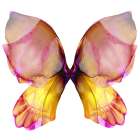 Floral Butterfly 4 Art Print
