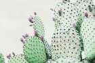 Green Crush 6 Art Print