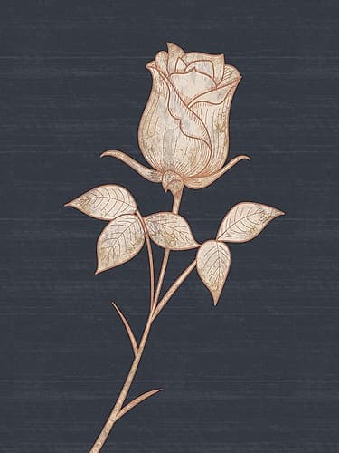 Flower 1 Minimalist Print