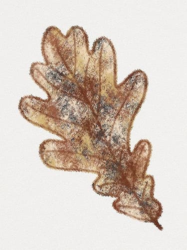 Watercolor Leaf 2 Art Print