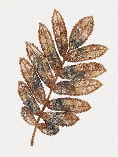 Watercolor Leaf 3 Nature Print