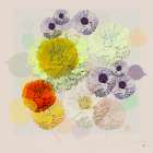 Transcendent Dance Pretty And Pastel Art Print