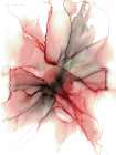 Crimson Echo Alcohol Ink Flower Art Print
