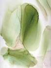 Verdant Whispers Abstract Art Print