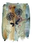Sepia Botanica 1 Art Print