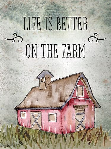 Rustic Charm 1 Art Print