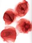 Roseate Ripples Art Print